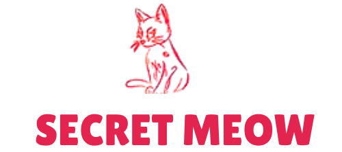 Secret Meow Toys